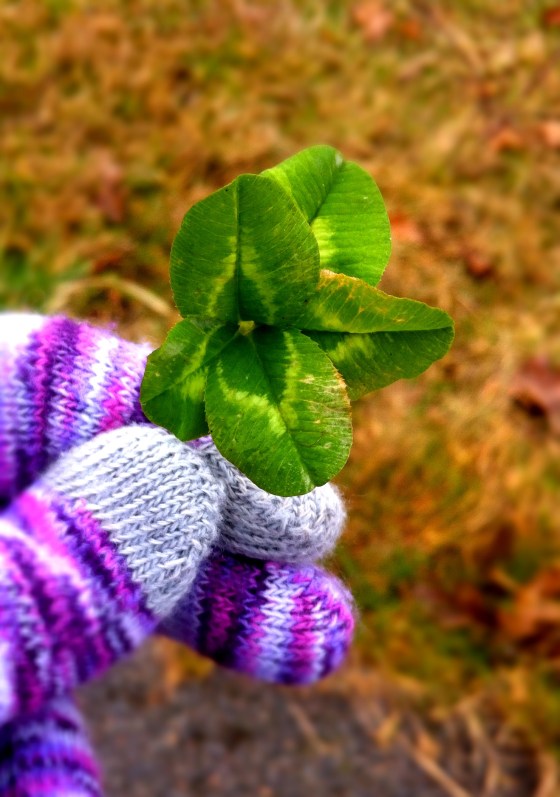 Marie and Rauls lucky 5 leaf clover