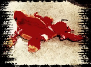 Photo Jan 22, 7 15 09 PM